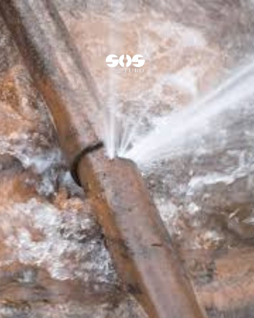 CANO ESTOUROU DE MADRUGADA EM PORTO ALEGRE? 5 PASSOS DO QUE FAZER ATÉ A DESENTUPIDORA CHEGAR