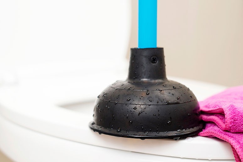 QUAL O MELHOR DESENTUPIDOR PARA VASO SANITÁRIO? GUIA COMPLETO + DICAS PROFISSIONAIS